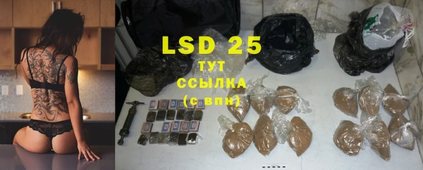 стафф Новодвинск
