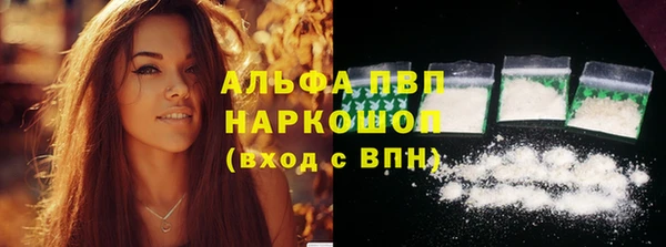 спиды Болхов