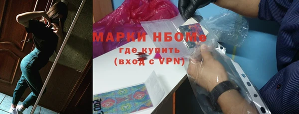 хмурый Новозыбков