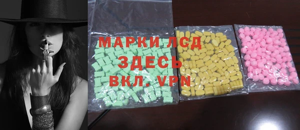 стафф Новодвинск
