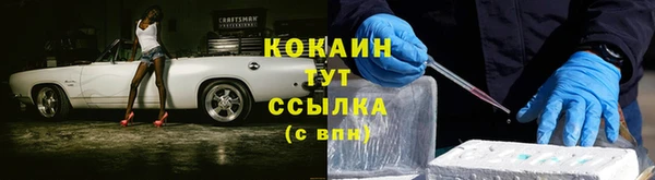 хмурый Новозыбков
