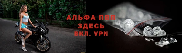 хмурый Новозыбков