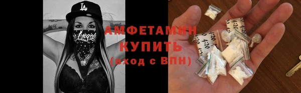 хмурый Новозыбков
