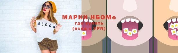 ПСИЛОЦИБИНОВЫЕ ГРИБЫ Новокубанск