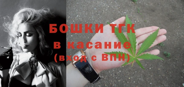 хмурый Новозыбков