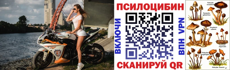 Псилоцибиновые грибы MAGIC MUSHROOMS Прокопьевск