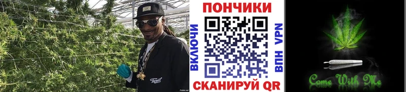Канабис план  хочу   Прокопьевск 